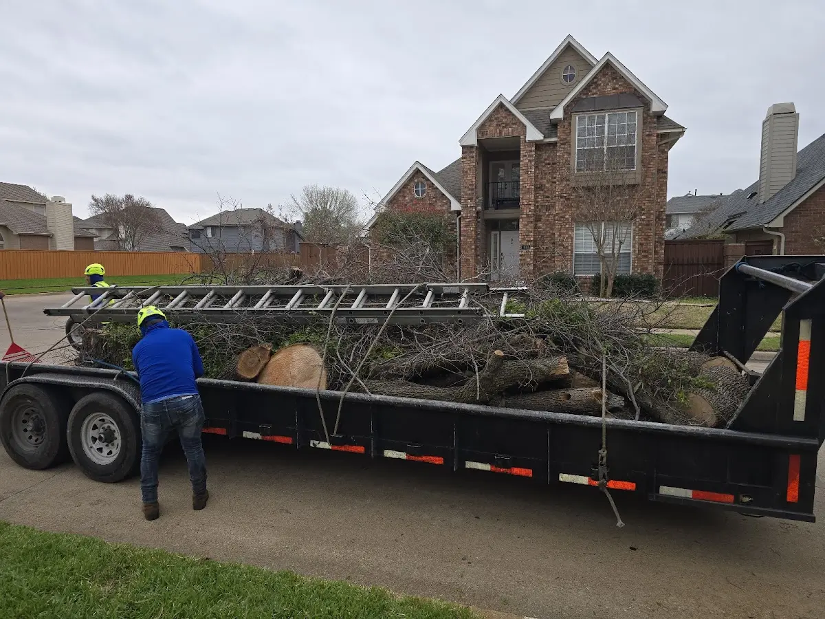 Expert Tree Pest Control with proper safety equipment in Hiawassee